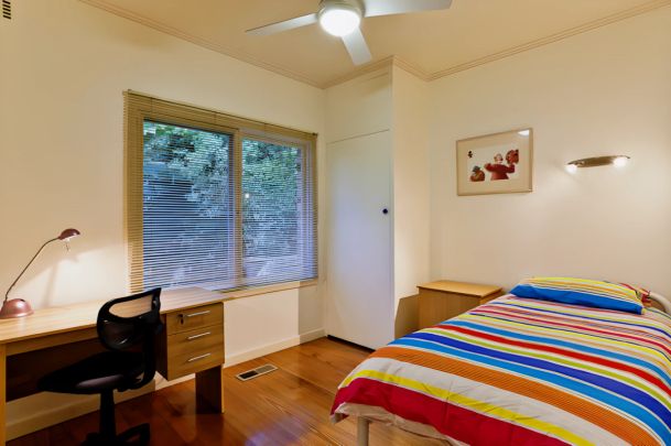 PLH6 Medium - Photo 1