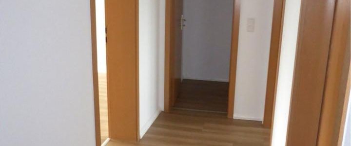 Geräumige, sonnige 2-Raum-Wohnung in Chemnitz - Foto 1