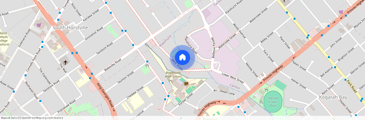 Grannyflat/218 west street, NSW 2221, South Hurstville