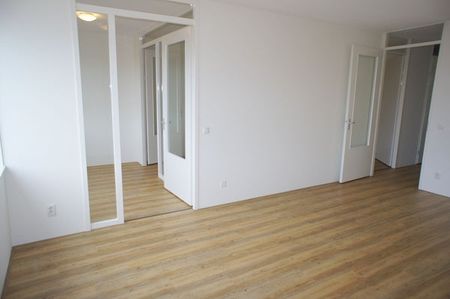 Te huur: Appartement Houtrustweg in Den Haag - Foto 4