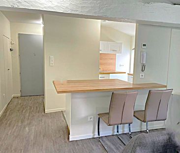 Location Appartement 2 pièces 42m² NEUVILLE SUR SAONE 69250 - Photo 6