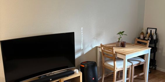 Tvistevägen, Umeå - Photo 3