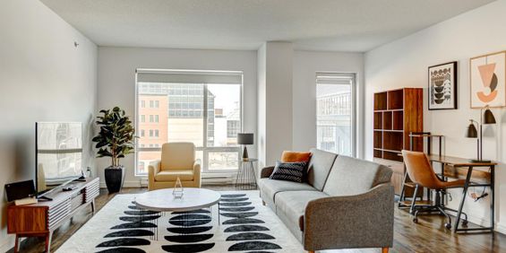 1 Bedroom - 1009 Rue De Bleury, Montréal - Photo 3