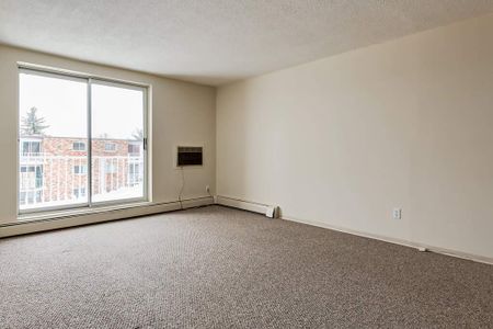 1 Bedroom - Photo 4