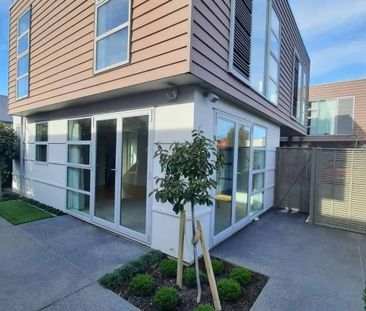 Calling all professional house mates - Photo 5