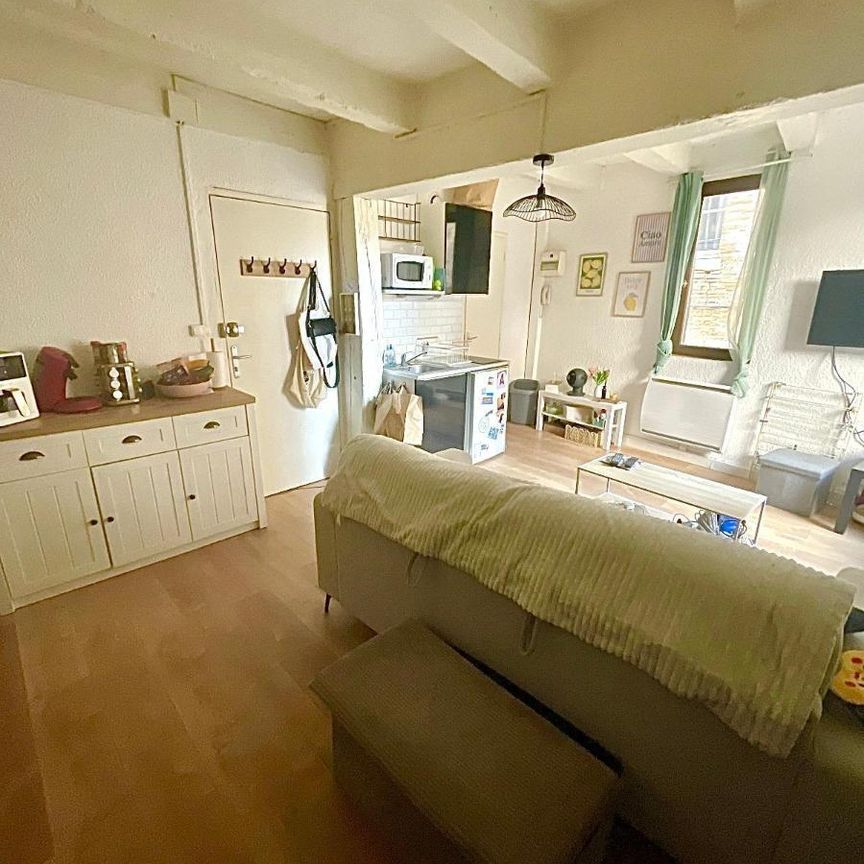 Location Appartement 1 pièce 23m² GAILLAC 81600 - Photo 1