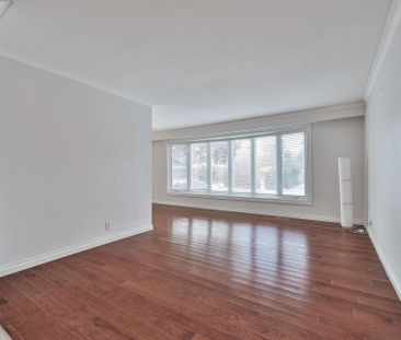 For Lease - 169 Norfolk Avenue, Richmond Hill, Ontario - Photo 4