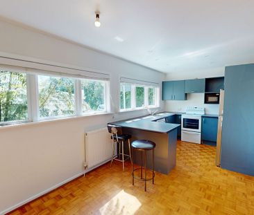 130 Cecil Road, Wadestown - Photo 4