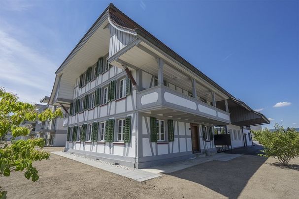 Rent a 2 ½ rooms apartment in Roggwil - Foto 1