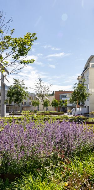 Guldringen 45, Ringdansen - Foto 1