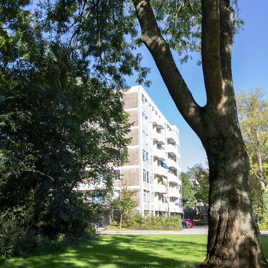 Van Boshuizenstraat 601, 1082 AW, Amsterdam - Foto 1