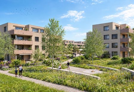 Neubau-Wohnung im Mattenpark Othmarsingen - Photo 3