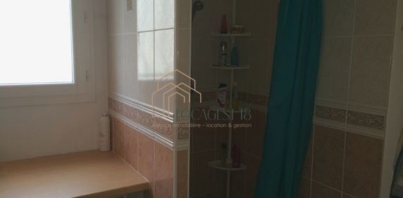 BOURGES VAUVERT - MAISON DE PLAIN-PIED - Photo 2