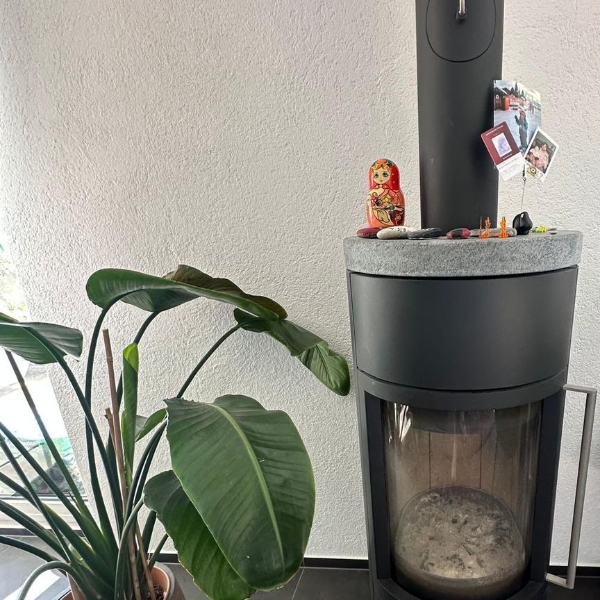 Grosszügige 5-Zimmer-Wohnung in ruhiger, naturnaher Lage in Trimbach - Foto 1