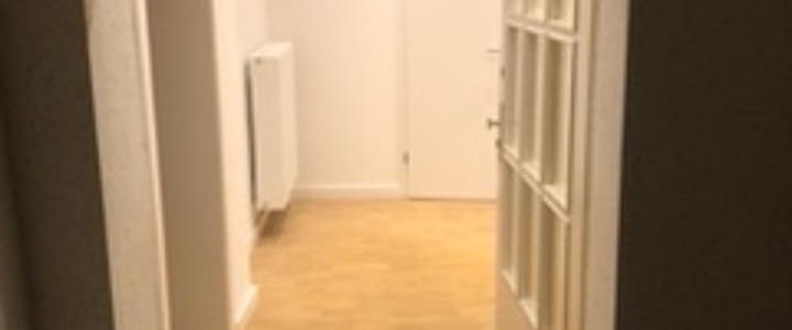 Grundsanierte, helle und geräumige EG-Wohnung im Gerichtsviertel - Foto 1