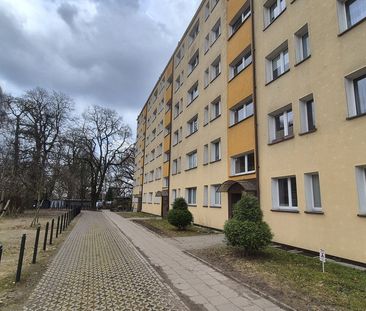 Nowoczesne 2 pokoje po kapitalnym remoncie Centrum - Zdjęcie 1