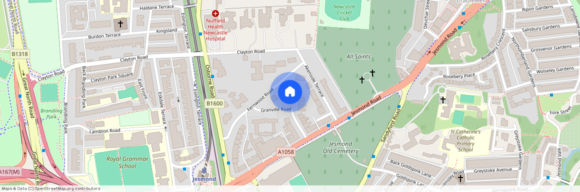 20, Granville Road. (East Lower), Jesmond, Newcastle Upon Tyne, NE2 1TP