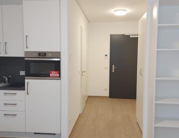 Nachmieter ab 1.2.2026 gesucht - Foto 1