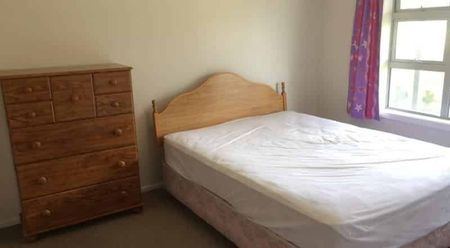 Elevated Two-bed home with beautiful views to Rent - Photo 2