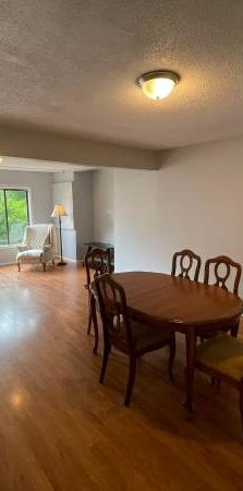 Spacious 2 bedroom suite +garden+laundry+parking - Photo 1