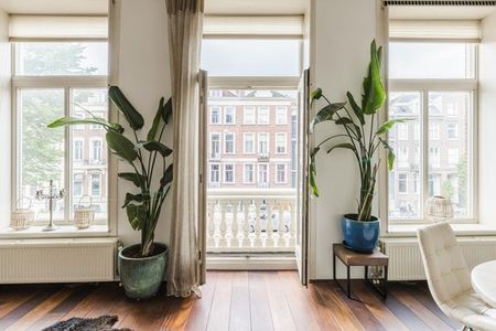 Sarphatistraat - Foto 5