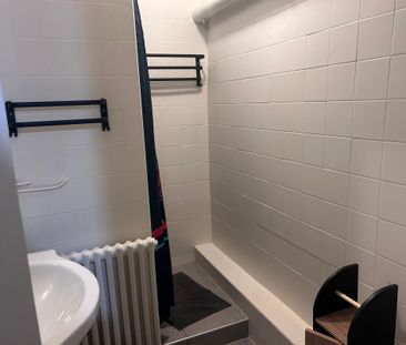 Location Appartement 1 pièce Meublé 17m² MONT DE MARSAN 40000 - Photo 5