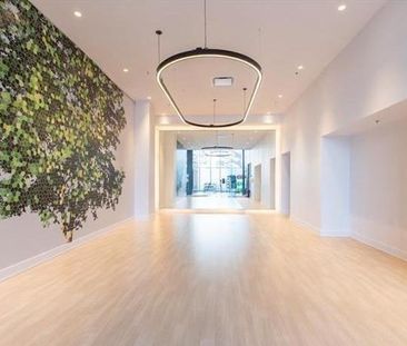 2300 Rue Tupper Montréal (Ville-Marie), QC H3H - Photo 2