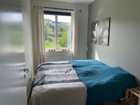 Hundestedsvägen, Båstad - Foto 2