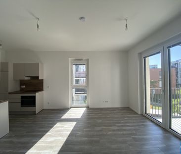 ALLEGRO TOSCA & ROMULUS - SMARTER WOHNTRAUM IM BELEBTEN SONNWENDVIE... - Photo 3