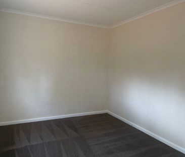 Neat and Tidy 4 bedroom home - Photo 3