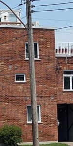 3 1/2 - Montréal (Mercier) - 1 998 $/mois - Photo 3