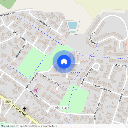 Hammelmosevej 40, 9382 Tylstrup