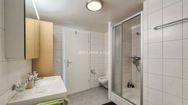 Magnifique appartement résidentiel à Lutry - Photo 1