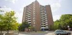 270 Sheldon Avenue, Toronto - Photo 2