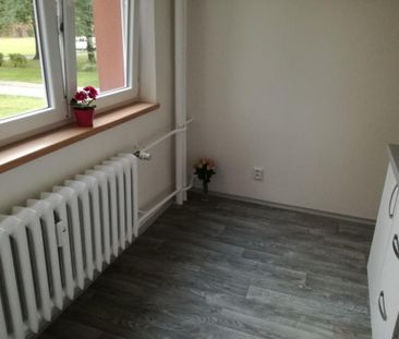 Pronájem bytu 2+1 55 m2 - Photo 3