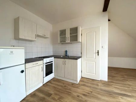 PRONÁJEM ZREKONSTRUOVANÉHO STŘEŠNÍHO BYTU 1+ KK, ČERNOVICE BRNO - Fotografie 4