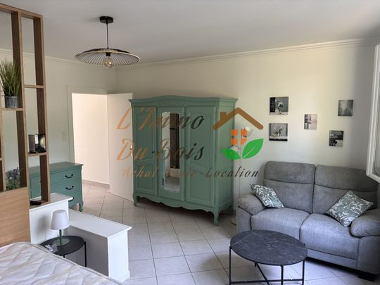 Location Appartement 1 pièce 35m² ROUSSILLON 38150 - Photo 1