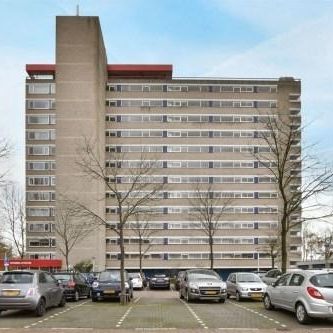 Wimbledonpark 0ong, 1185 LN Amstelveen, Nederland - Photo 1