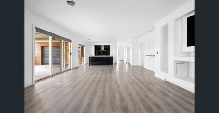 The Ultimate Entertainer - Photo 2