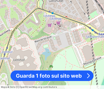 2.5-room apartment in Brunaupark - Foto 1