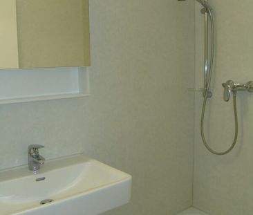 Wohnung mit Sicht auf die St. Ursenkathedrale - Foto 4