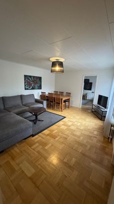 Kopparstigen, Svappavaara - Foto 1