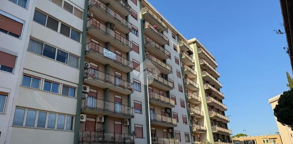 6 locali in affitto - Photo 2