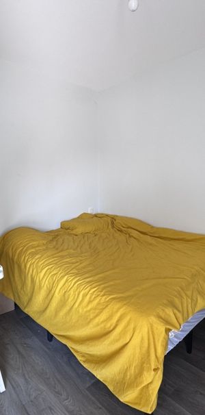 Location Appartement 1 pièce 30m² RETIERS 35240 - Photo 1