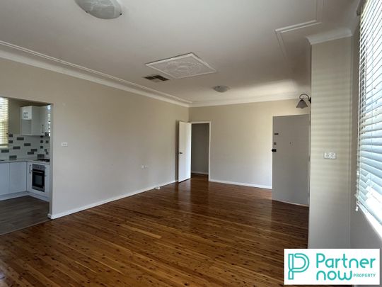 17 Anthony Road, TAMWORTH NSW 2340 - Photo 1