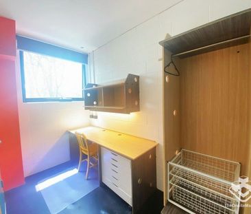 Furnished Studio Including Bills - Photo 3