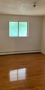 Large 2 Bedroom Suite in Meadowgreen - Photo 3