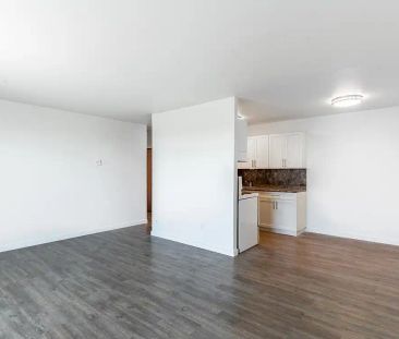 River Gardens — 1 Bedroom 1 Bath Reno (1Bed1BathR-A1) - Photo 4