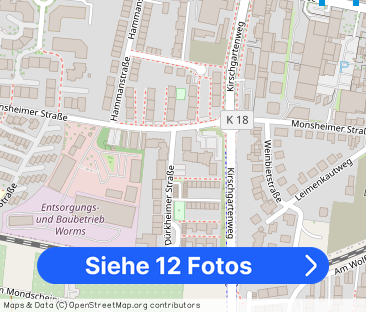 3-Zimmer-Wohnung mit Balkon in Worms mieten - Foto 1