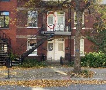 🏡 3 1/2 double lumineux à louer – Plateau Mont-Royal - Photo 3